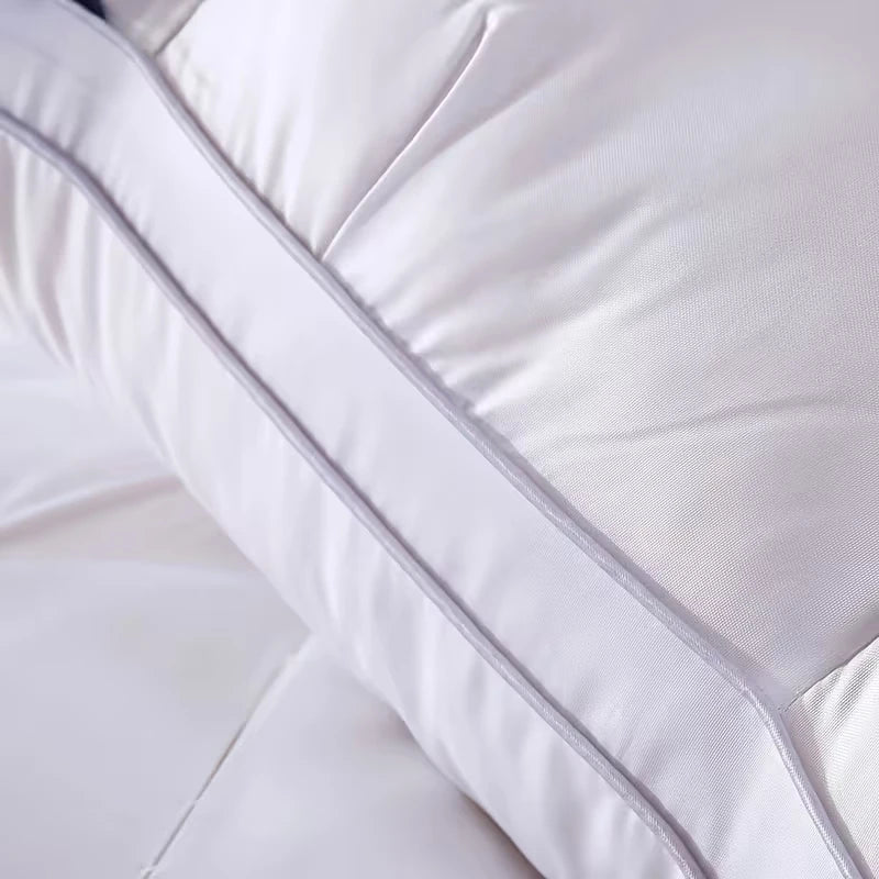 FabFit Hotel-Style Pillows Set of 2 – 48 x 74 cm, 100% Polyester Fill, Single Pillow Inserts