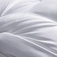 FabFit Hotel-Style Pillows Set of 2 – 48 x 74 cm, 100% Polyester Fill, Single Pillow Inserts