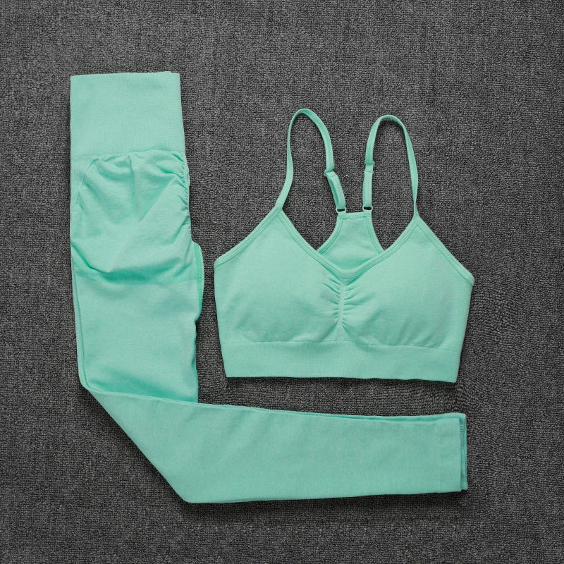 FabFit Lifting Set