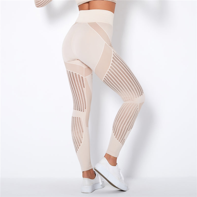 FabFit Mesh Seamless Leggings