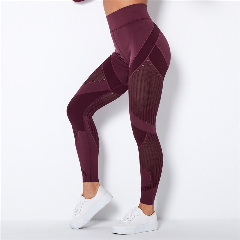 FabFit Mesh Seamless Leggings