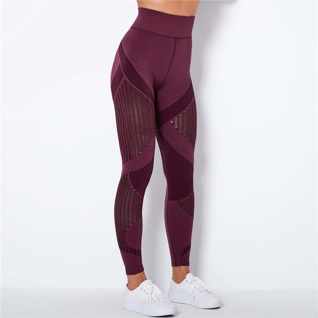 FabFit Mesh Seamless Leggings