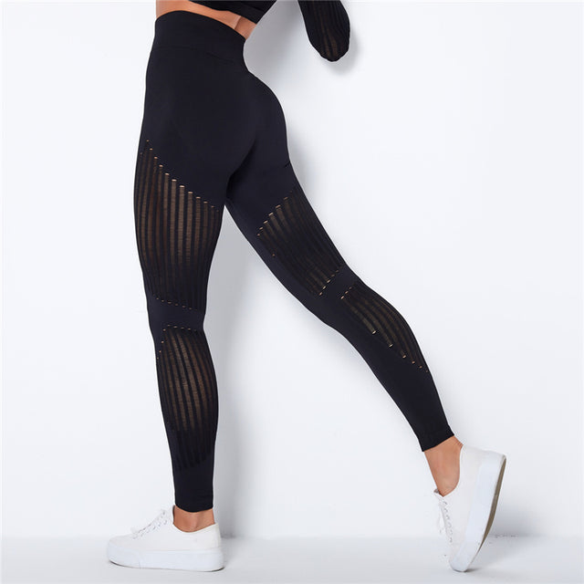 FabFit Mesh Seamless Leggings